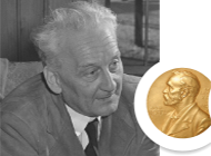 Albert de Szent-Gyorgyi (1893–1986)
